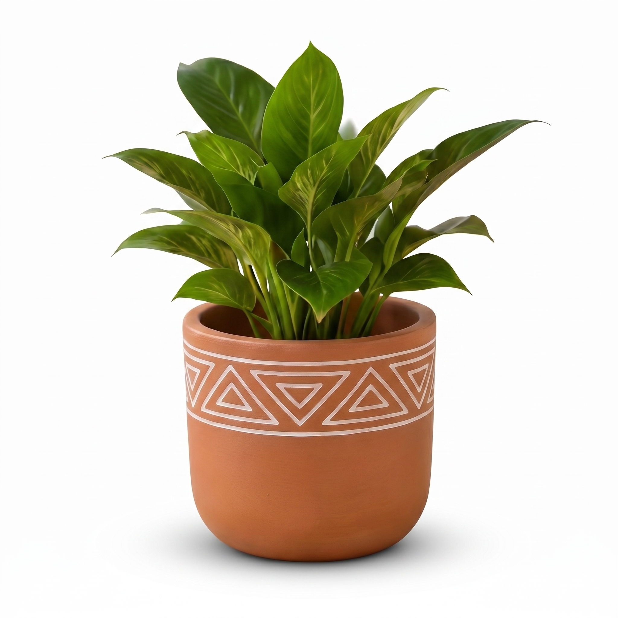 Plant styled in a ceramic pot